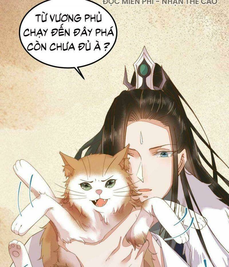 sát thủ vương phi không dễ chọc chapter 45 12