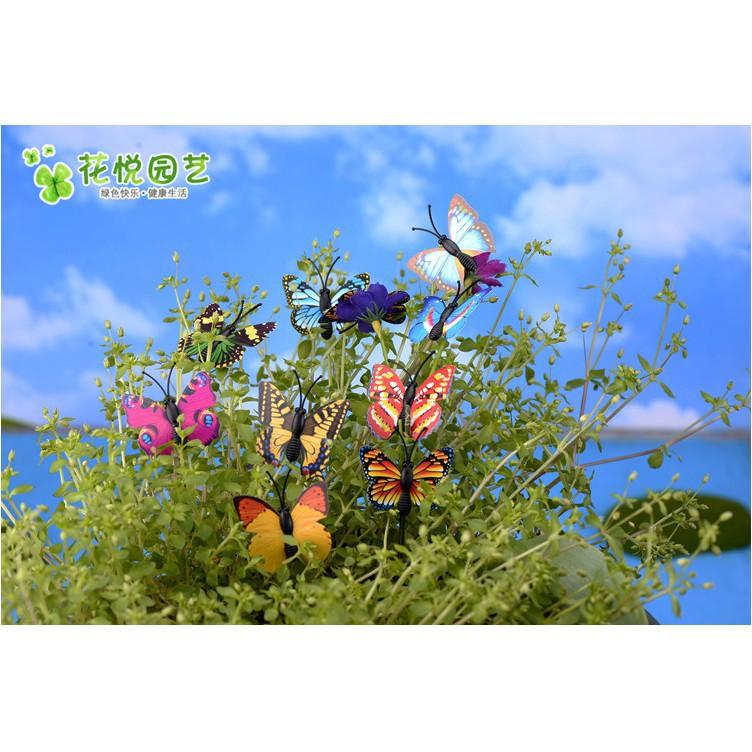 Combo 02 mô hình bướm màu sắc rực rỡ chuyên dụng trang trí bonsai, tiểu cảnh