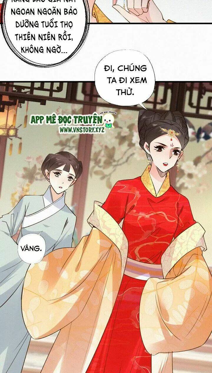 thiên hương mỹ nhân chapter 126 24