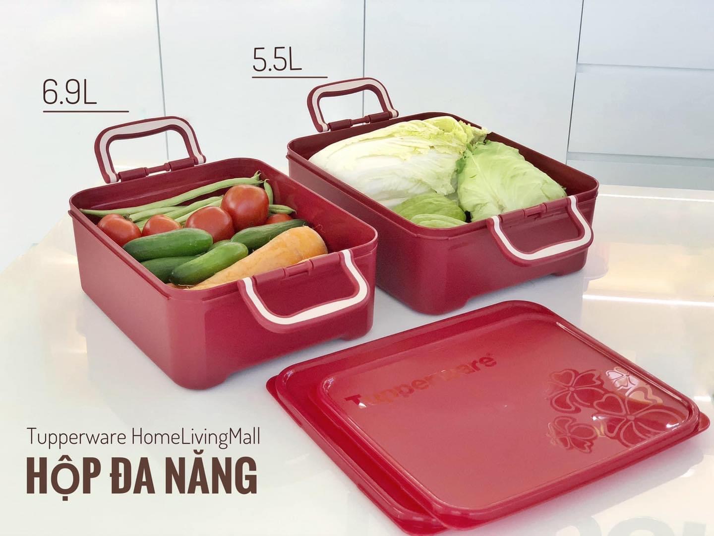 Bộ Trữ Khô &amp; Mát Tupperware Kimchi Keeper Set 2