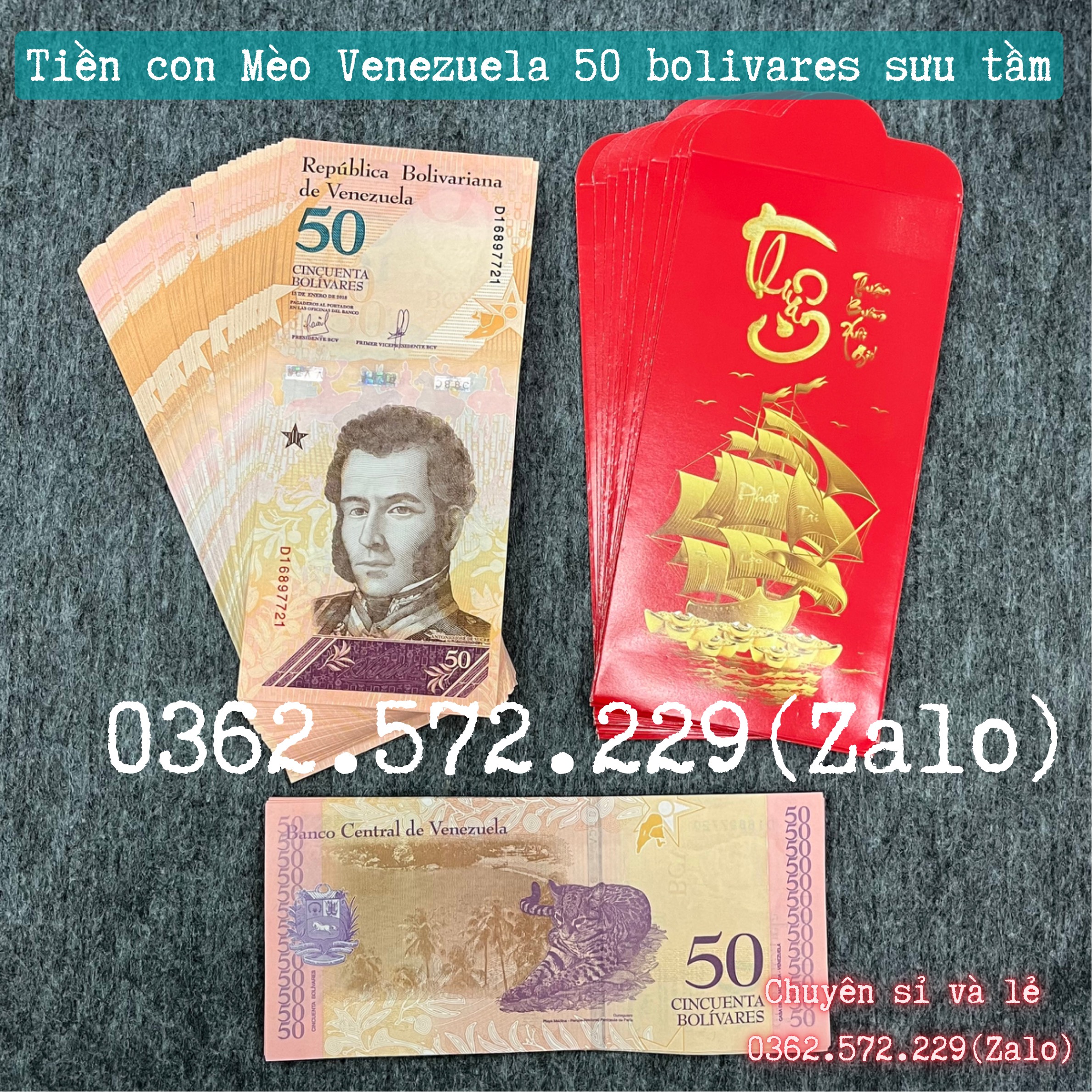 Tiền Hình Con Mèo Venezuela Lưu Niệm Lì Xì Tết 2023