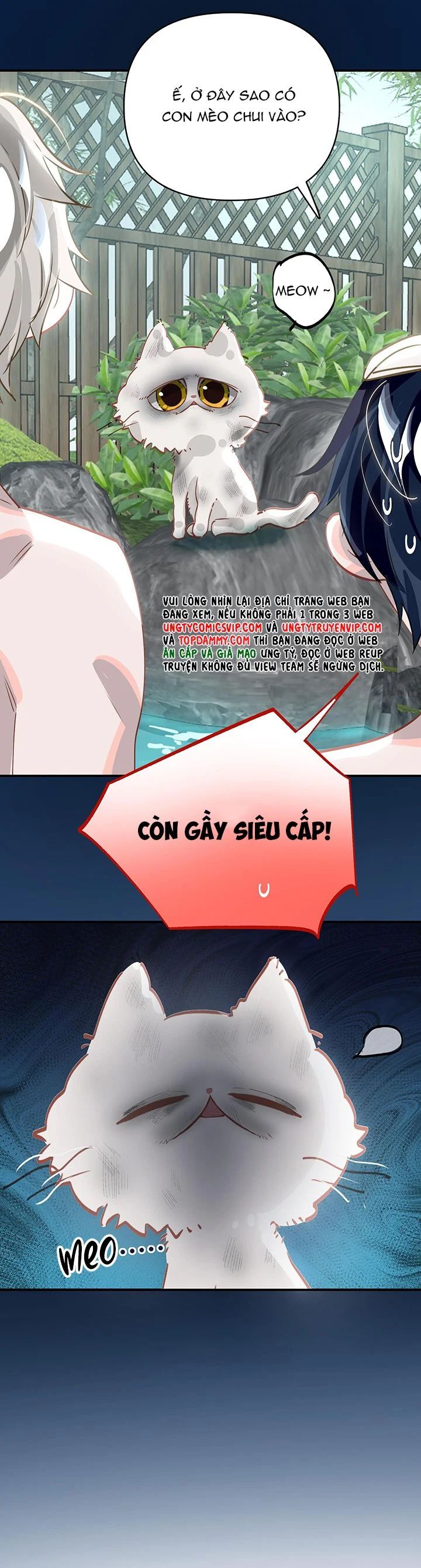 tôi bị điên đó chapter 36 14