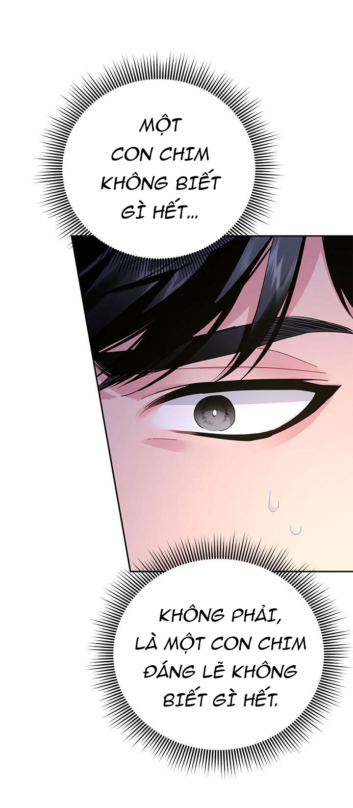 công chúa của loài chim chapter 37.1 13