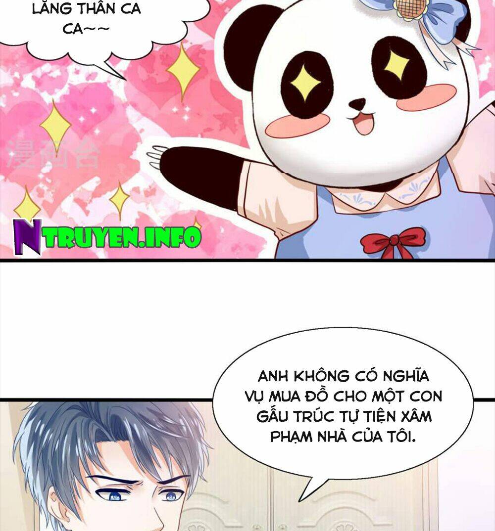 tôi bị gấu trúc nhìn trúng rồi chapter 9 13