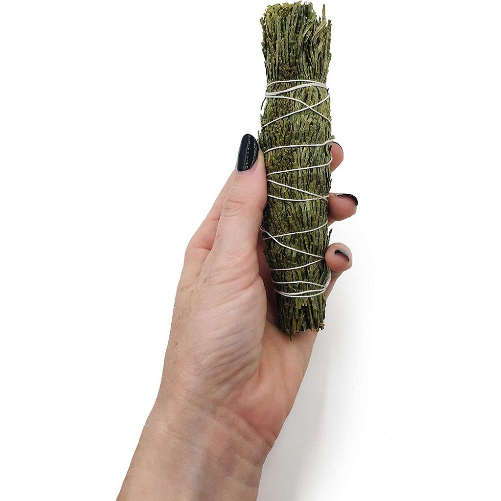 Cedar Sage/ Bó tuyết tùng/ Thảo dược xông nhà- 12 cm