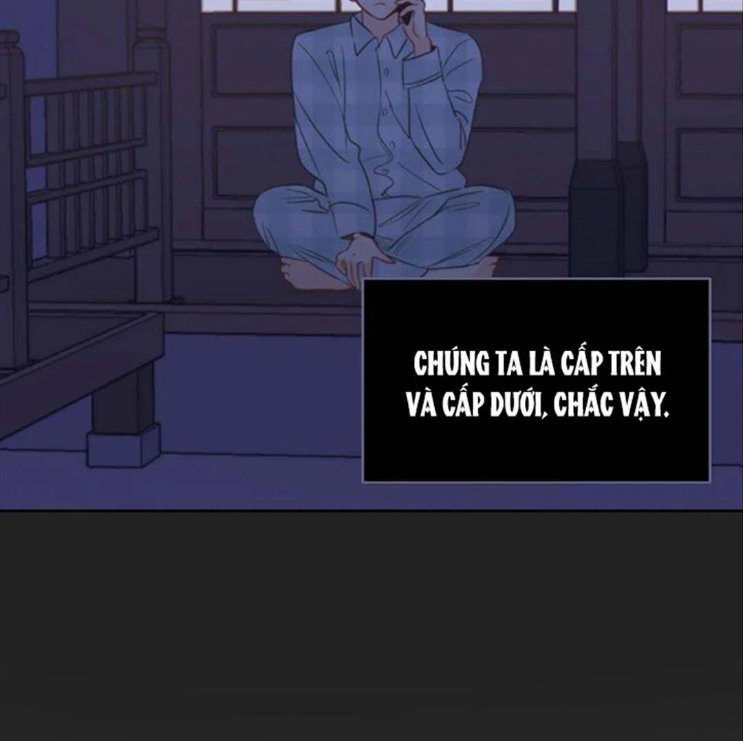 chuyện quái gì với giấc mơ đó vậy chapter 34 115