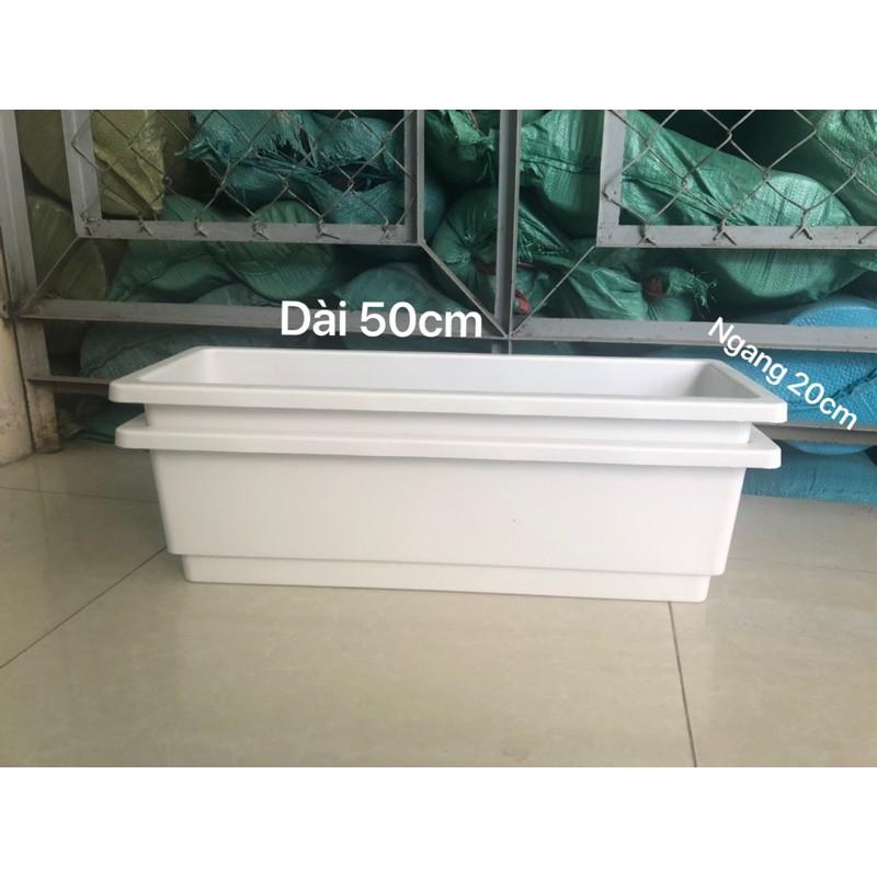 Máng trồng rau hoa kiểng các loại size