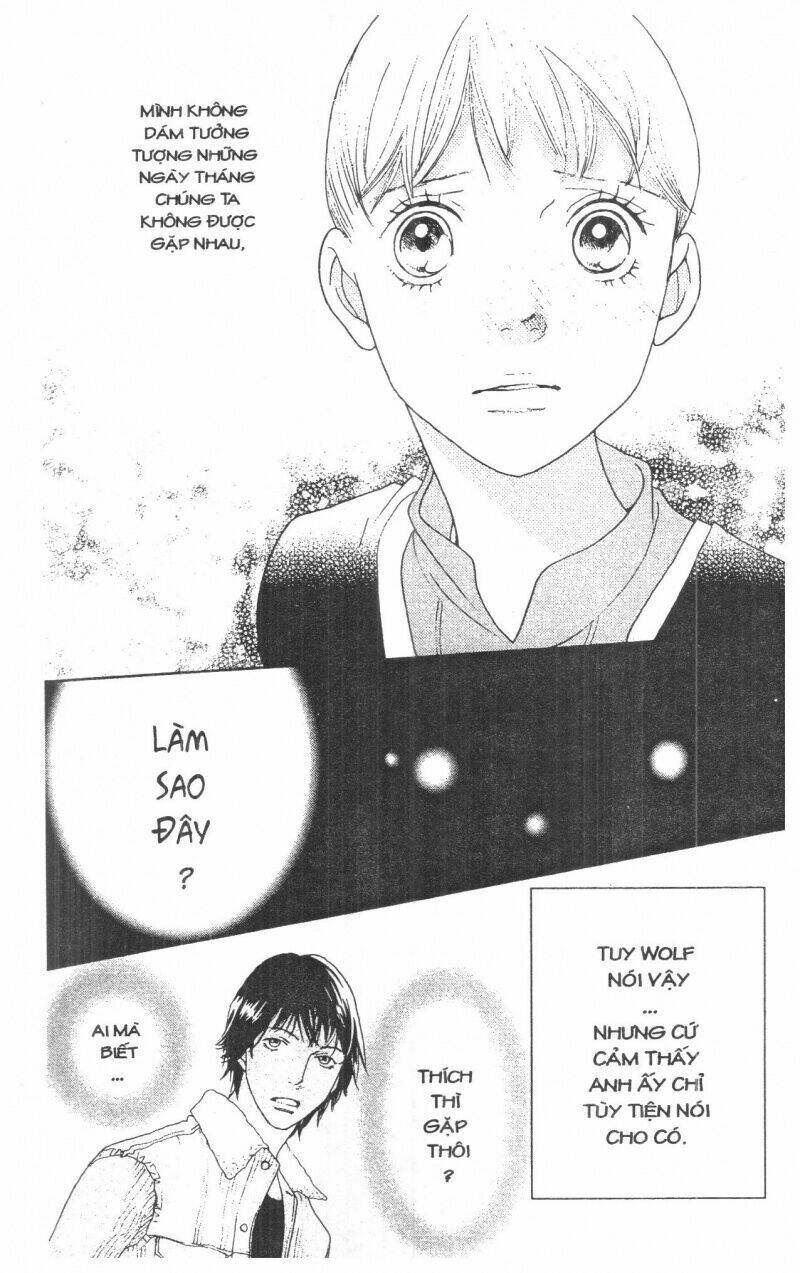 tigers and wolves chapter 1 101