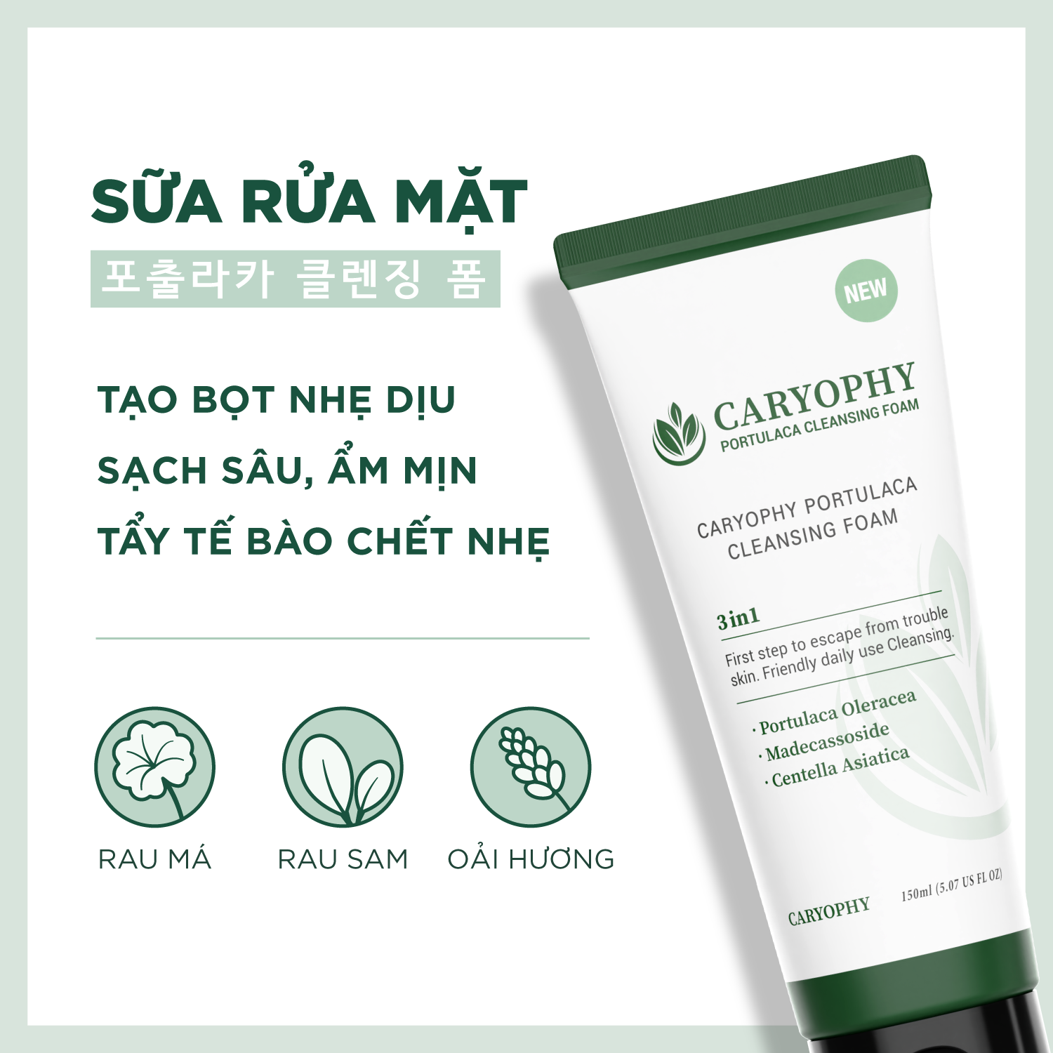 Sữa rửa làm dịu da mặt ngừa mụn Caryophy Portulaca 150ml