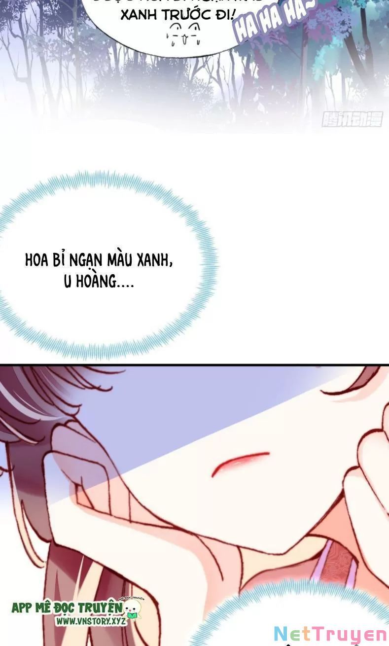 lại bị bệnh chiều chuộng quấn lấy chapter 12 31