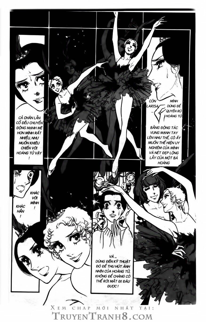 swan - vũ khúc thiên nga chapter 99 5