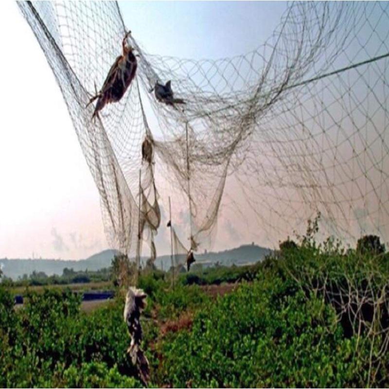 Sỉ 20m lưới bẫy chim, lưới tàng hình bẫy chim khuyên sẻ gi cu gáy chào mào,Lưới bắt chim,Lưới chim th