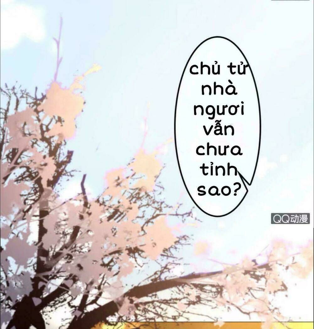 sủng phi của vương chapter 29 14