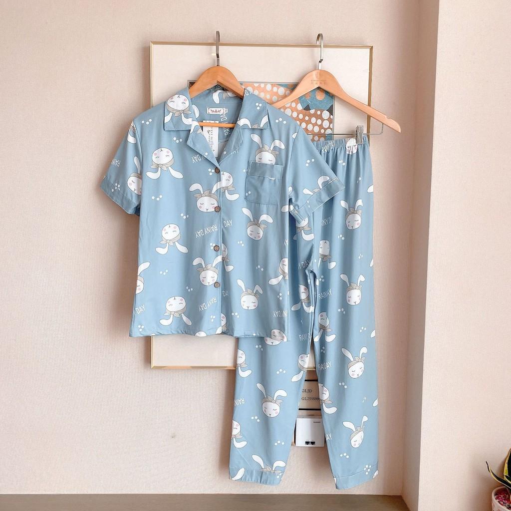 Pijama, Bộ Ngủ Nữ cotton thun ngắn tay quần dài CDCP01