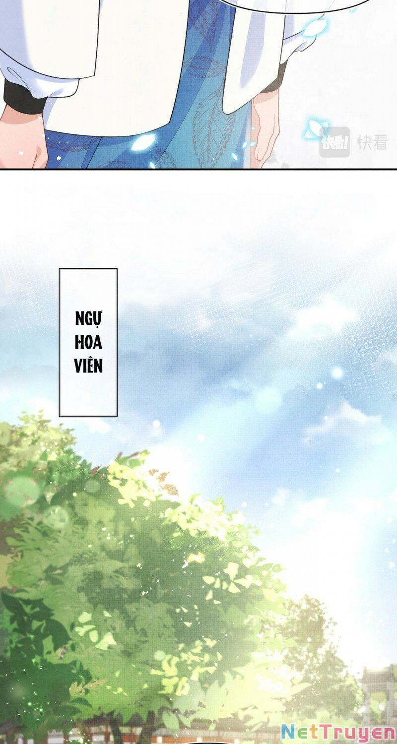 nhóc con người cá 3 tuổi rồi chapter 234 7