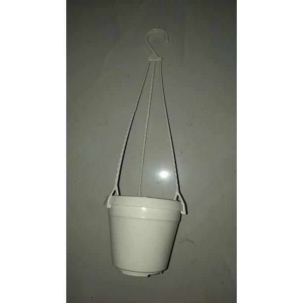 Chậu treo màu cỡ vừa