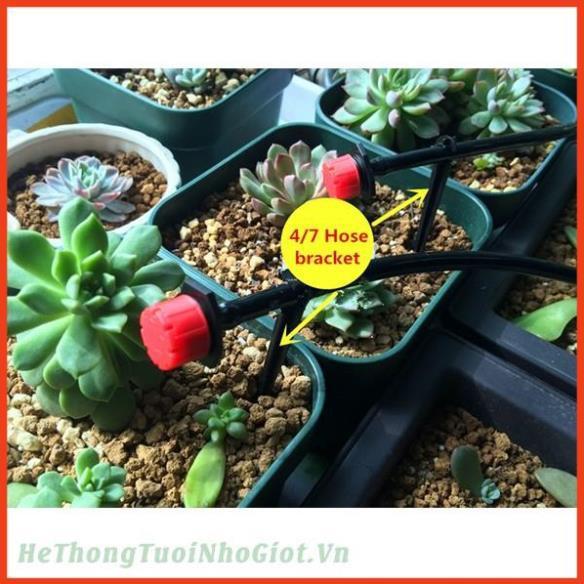 50 đầu nhỏ giọt 8 tia tưới gốc cây 206852