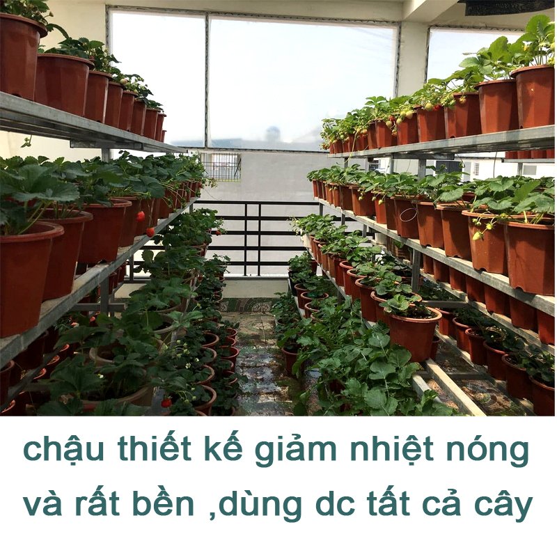 10 CHẬU nhựa trồng cây E320 chất lượng dáng cao giữ ẩm được lâu hơn đường kính 26.5x25cm-77496