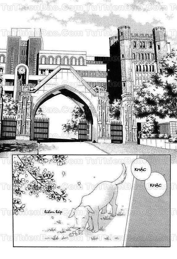 lọ lem hậu đậu chapter 1 27