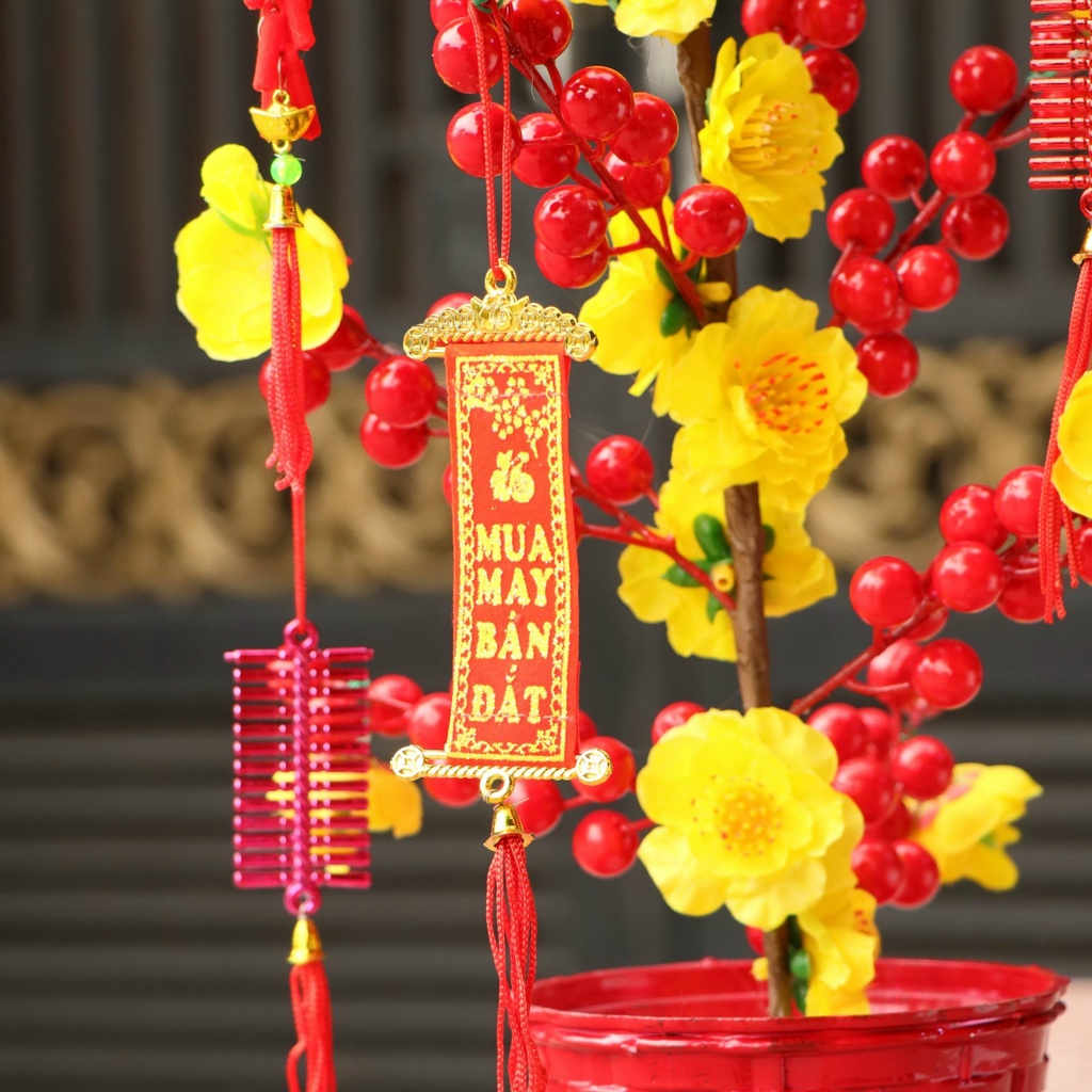 Chậu cây sắc đỏ vàng trang trí tết mừng xuân cao 50cm