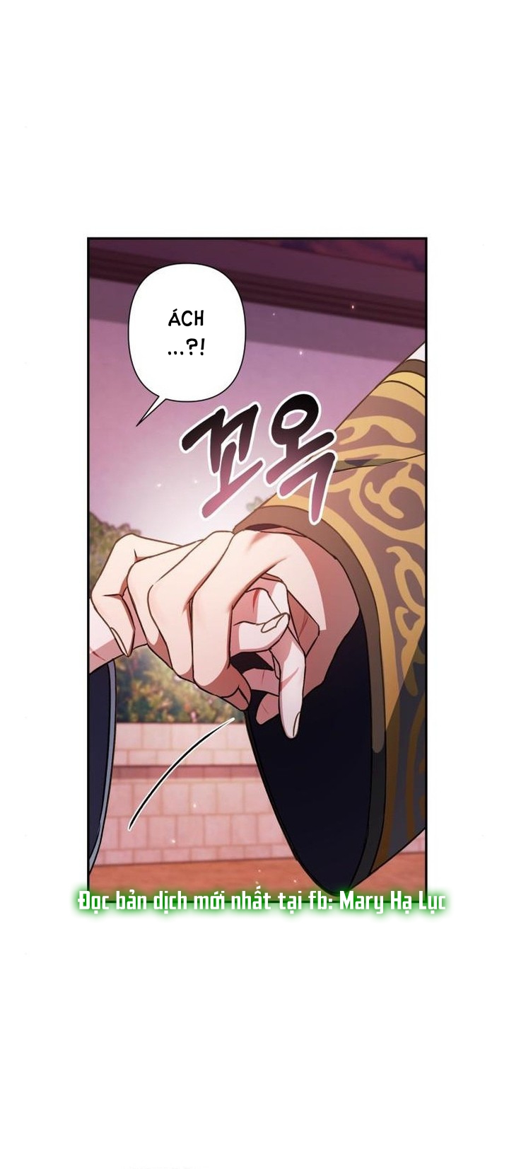 bản tình ca heeran chapter 23.2 9