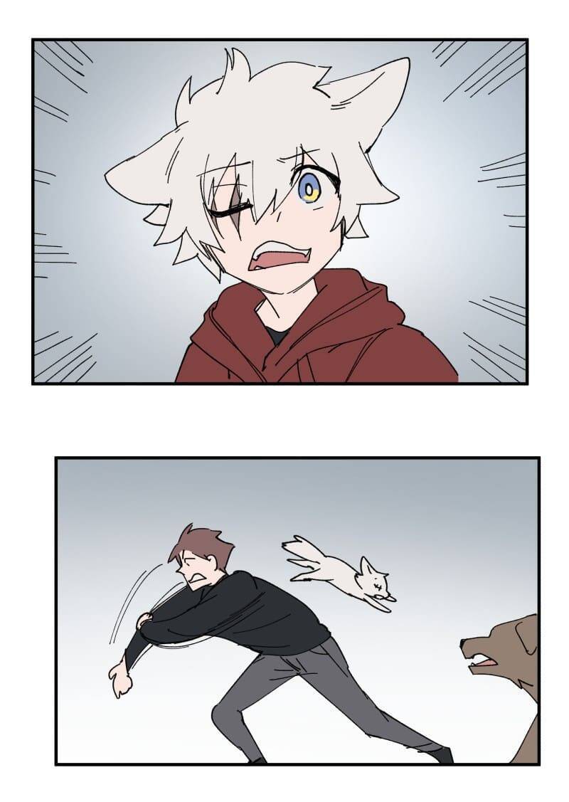 lumine - cội nguồn ánh sáng chapter 156 19