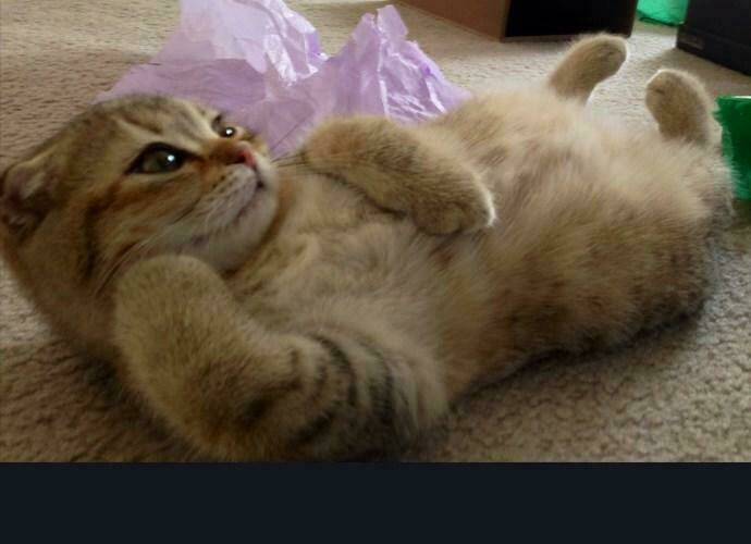 cuộc chiến trong tòa tháp chapter 187 35