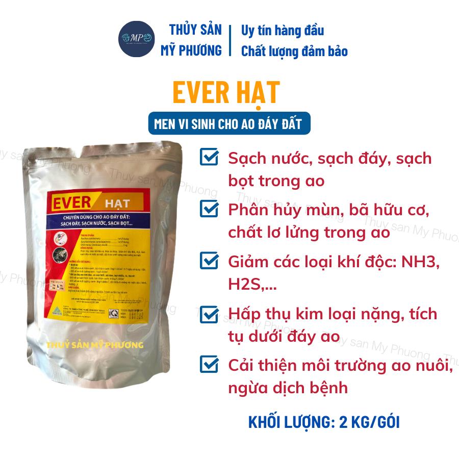 Men vi sinh hạt xử lý đáy thối nước dơ khí độc nước đục diệt rong ever gây màu tảo khuê trà tôm thẻ cá lươn ếch ốc baba