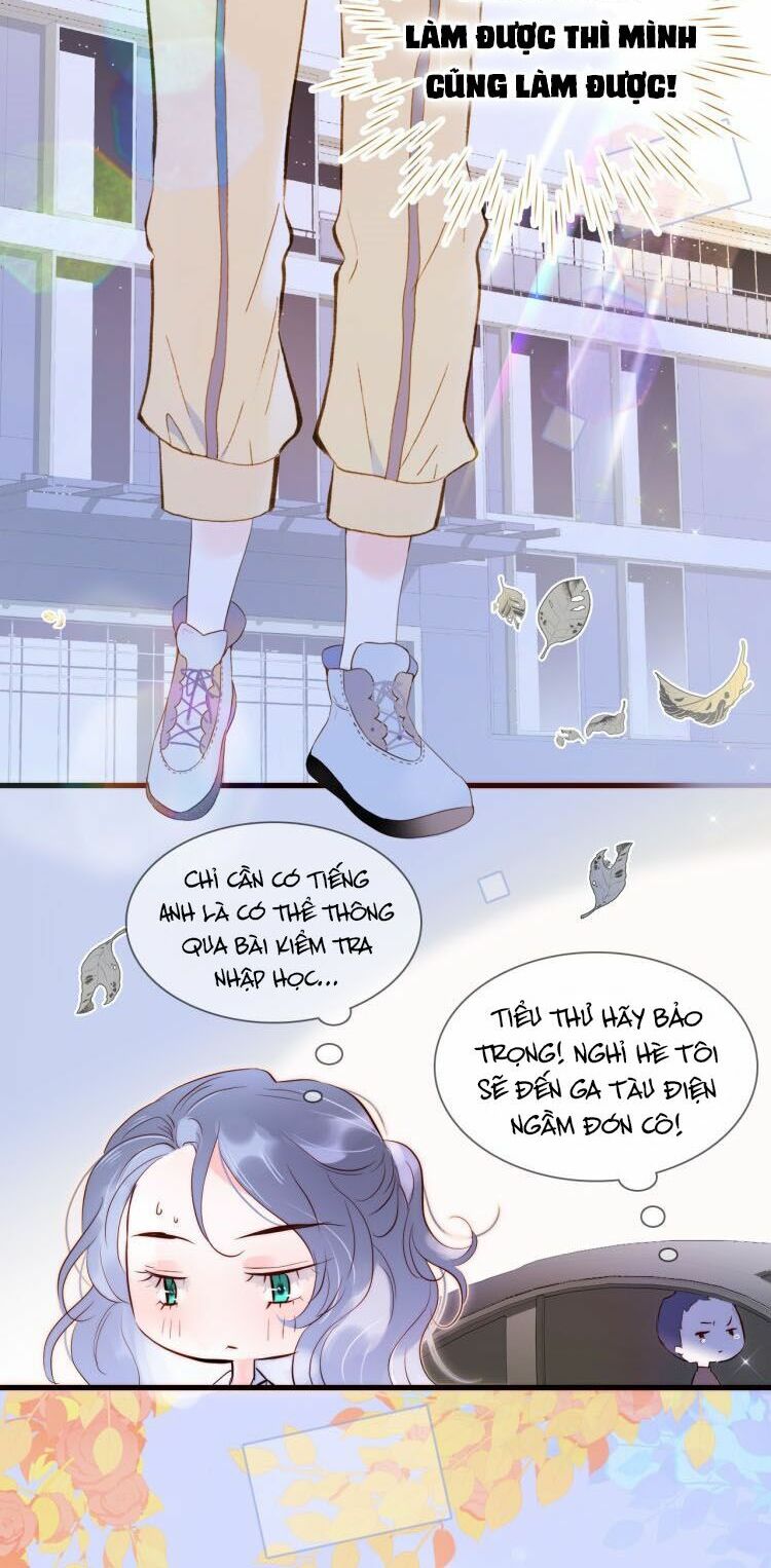 hoa bỏ chạy với nhím rồi chapter 1 61