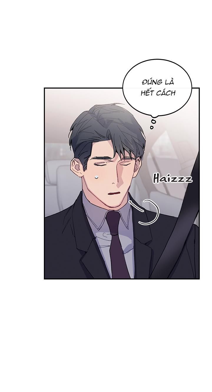 Why Not, CEO? chapter 13