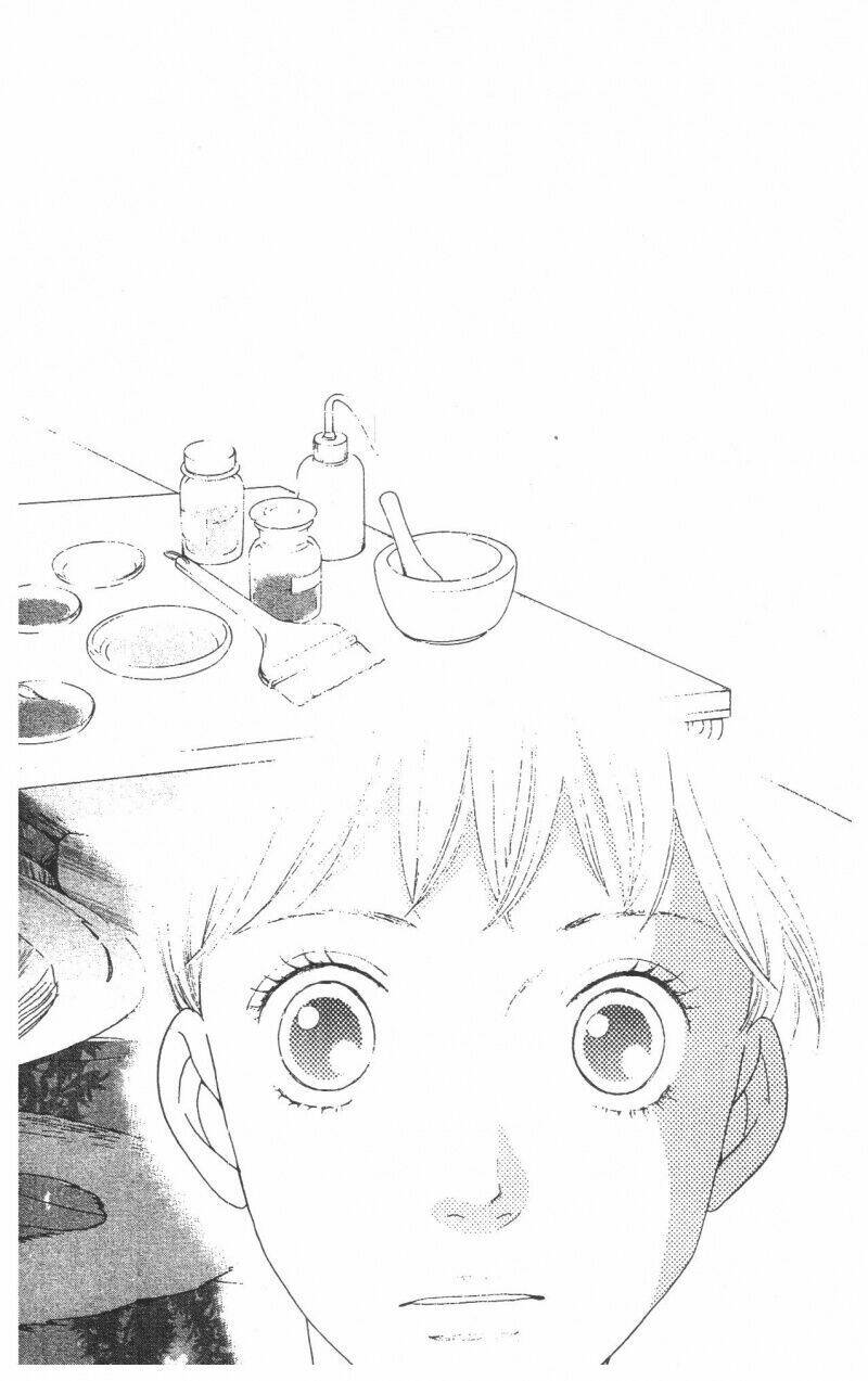 tigers and wolves chapter 1 94