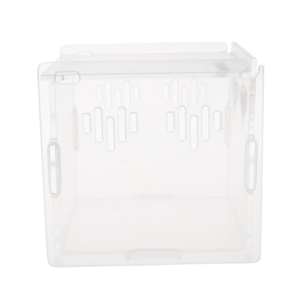 Acrylic Box Crawler Spider Scorpion Centipede Insect Feeding Insect Box - XS