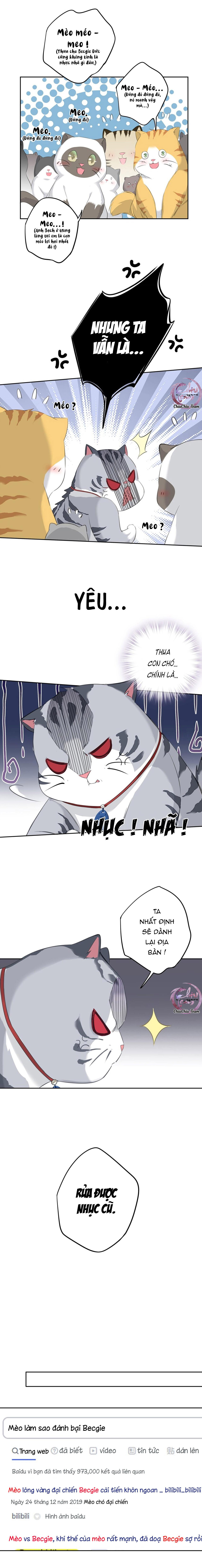 cuộc mai mối vượt giống loài chapter 35 11