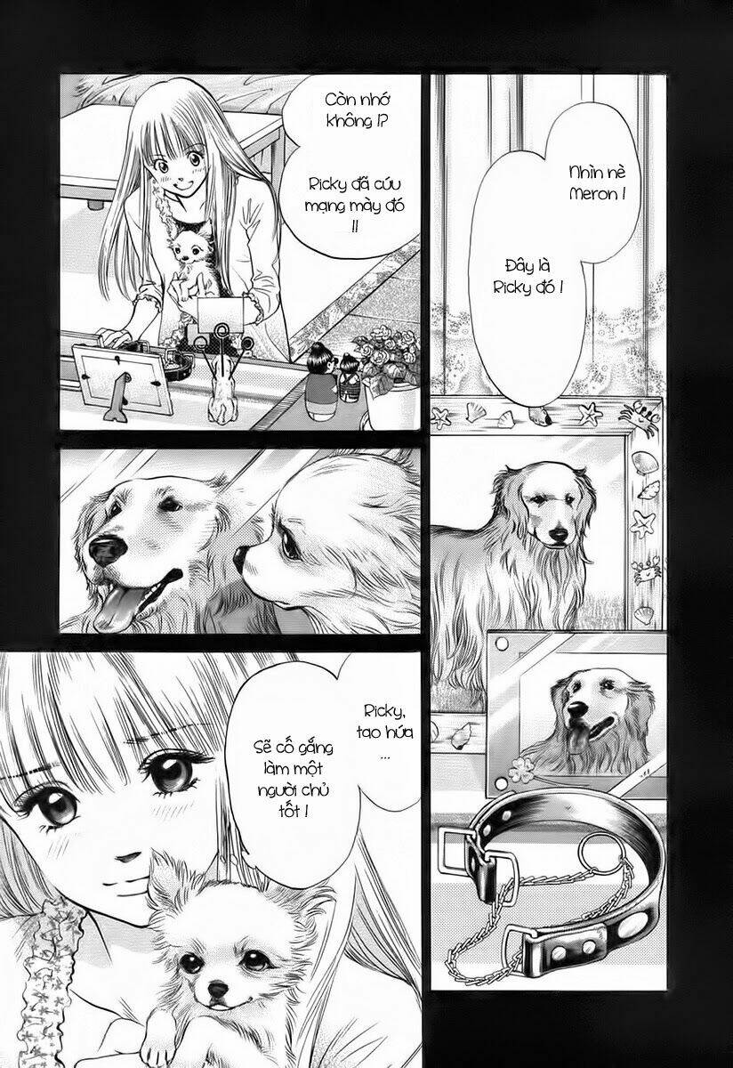 cô nàng yêu chó chapter 37 3