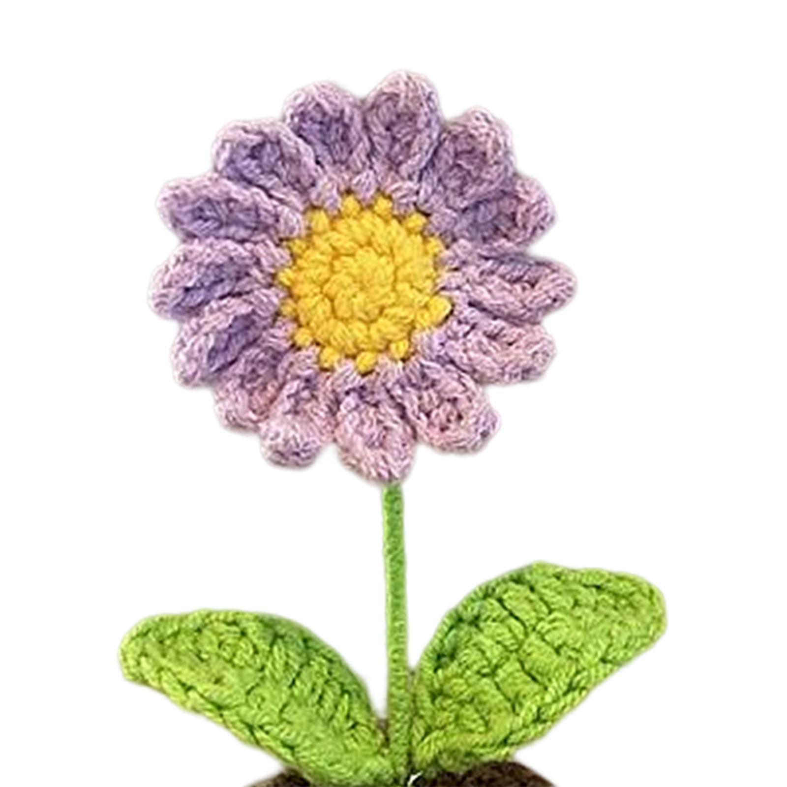 Handmade DIY Beginner Crochet Kit for Adults Kids Includes Yarn