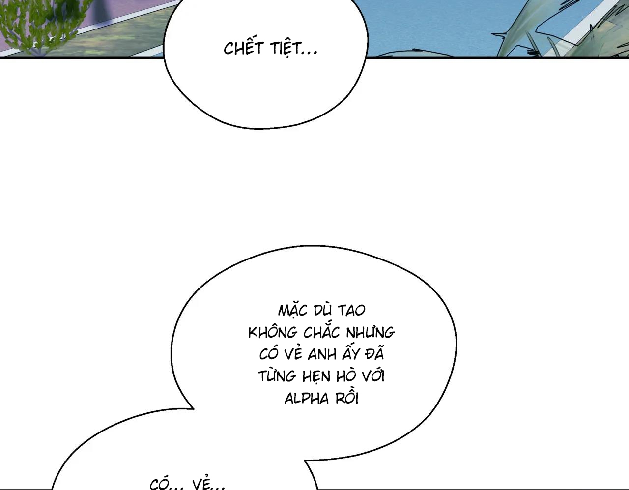 ám ảnh pheromone chapter 61 86