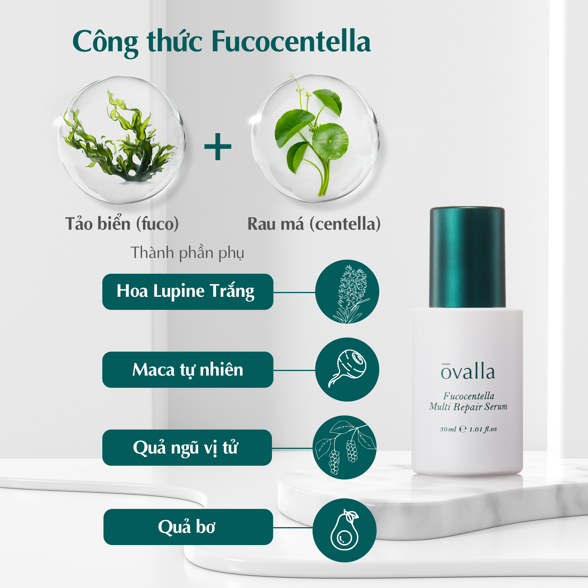 Tinh Chất Dưỡng Phục Hồi OVALLA Repair Serum Giúp Dưỡng Ẩm Phục Hồi Da, Giảm Nếp Nhăn Và Sáng Da (Chai 30ml)