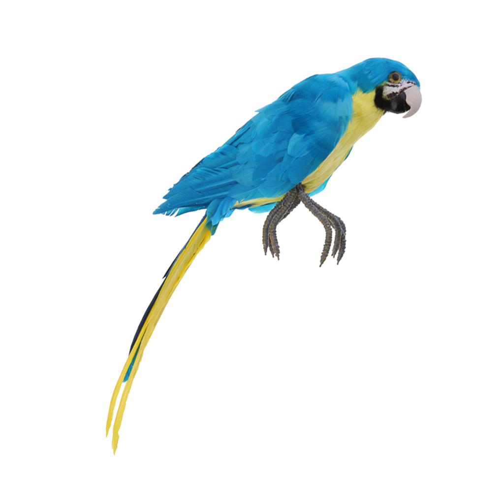 Lông Vũ Nhân Tạo Xanh Chim Vẹt Thủ Công Taxidermy Nhà Nghệ Thuật Trang Trí Vật Trang Trí