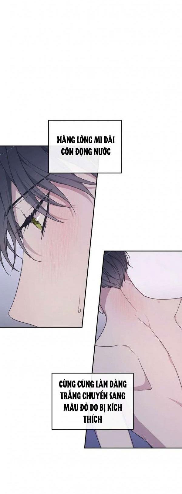 hỗn mộng chapter 33.1 12