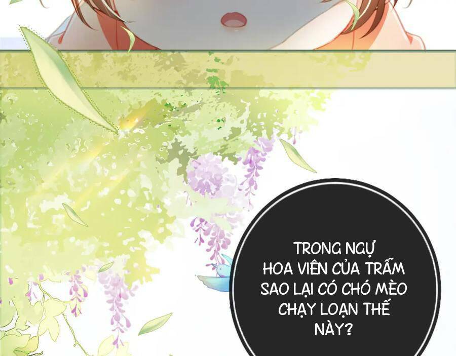 nhặt được bảo bối manh manh chapter 1 79