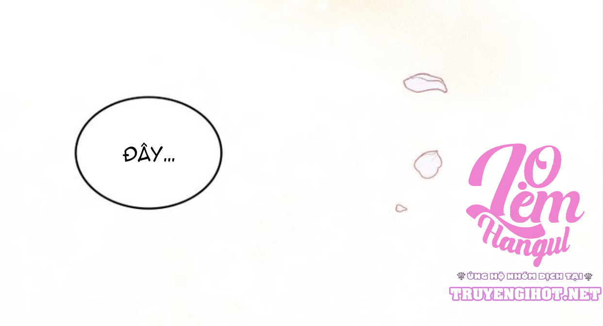 đi tìm nàng camellia chapter 2 10