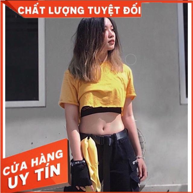 Áo croptop trơn nhiều màu