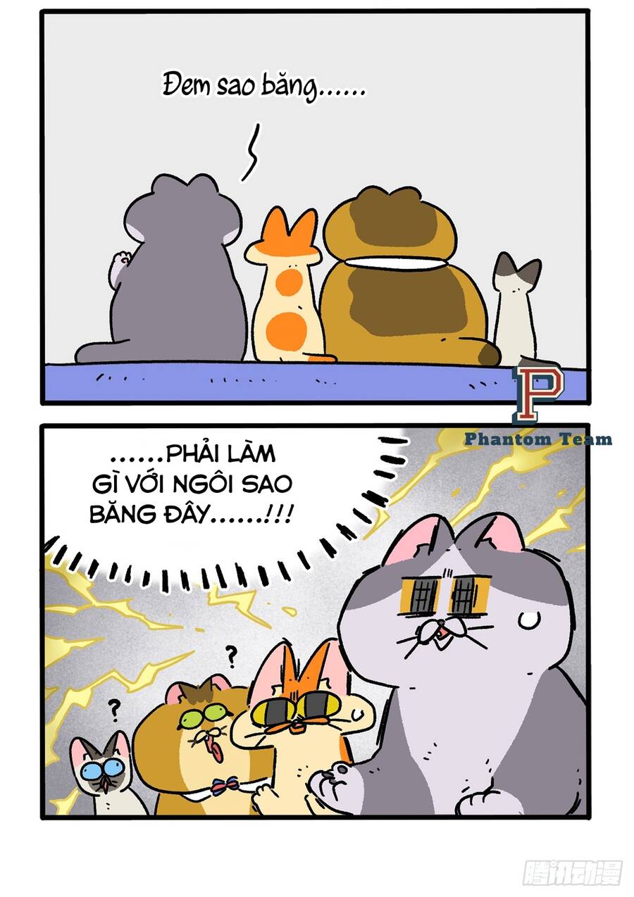 a mãn và mạch trà chapter 154 2