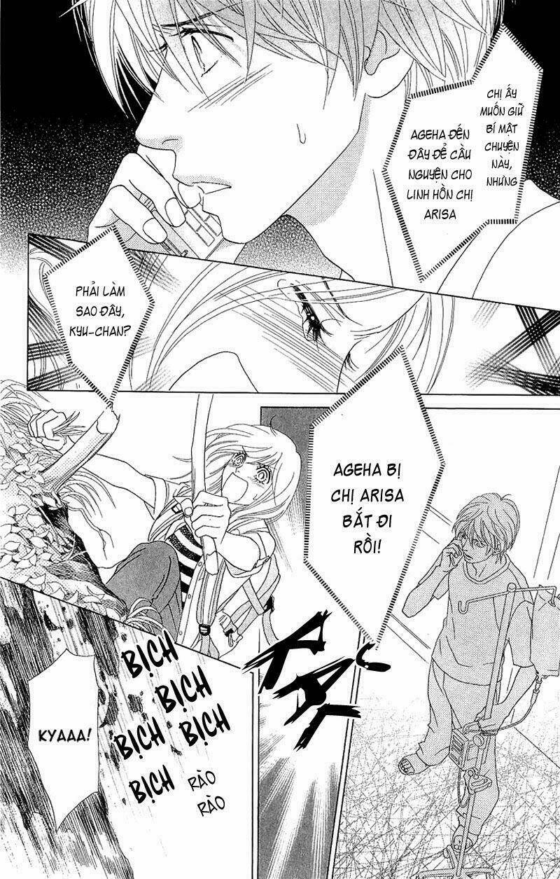 papillon hana to chou - hoa và bướm chapter 38 24