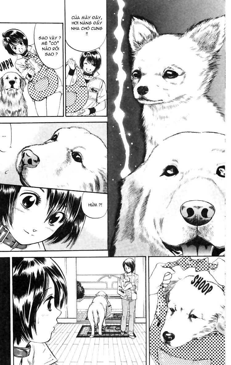 cô nàng yêu chó chapter 5 16