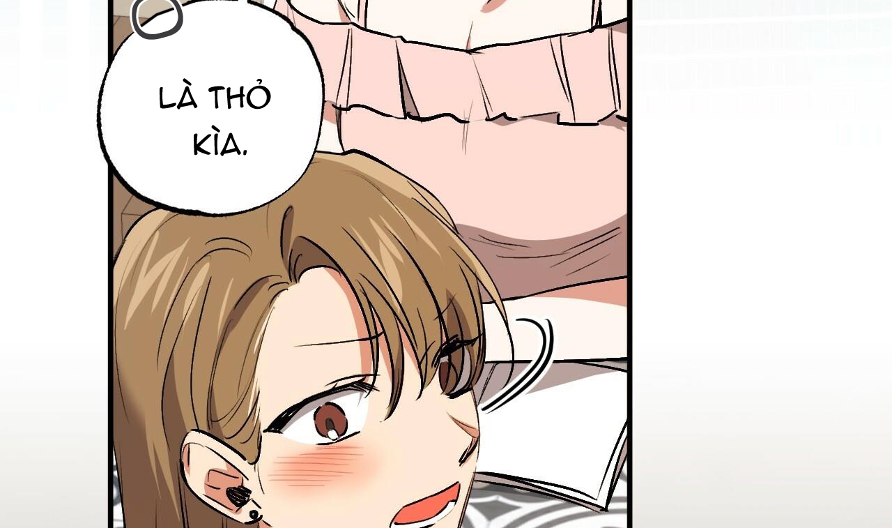 đàn thỏ của habibi chapter 48 67