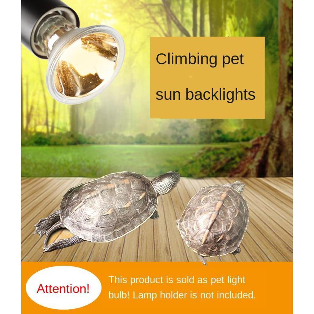 220V DAYLIGHT BEAM BASKING SPOT LAMP HEAT REPTILE BULB SUN LIGHT 25W