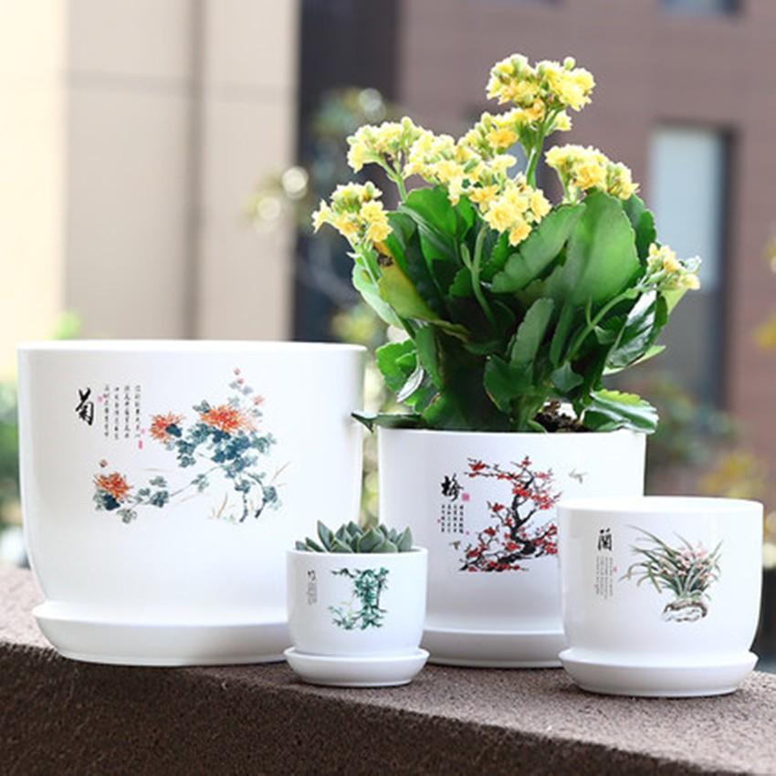 Chậu nhựa giả sứ màu trắng trồng cây cảnh để bàn, chậu trồng cây kèm đĩa hứng nước