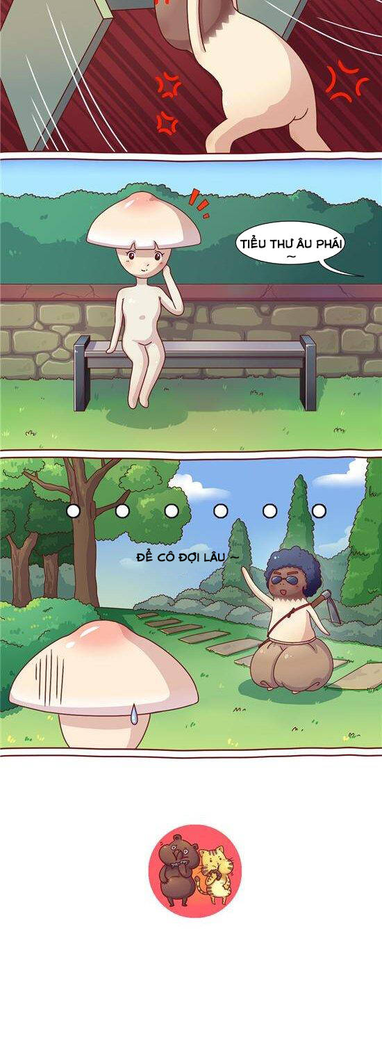 cây nấm kì khả chapter 24 7