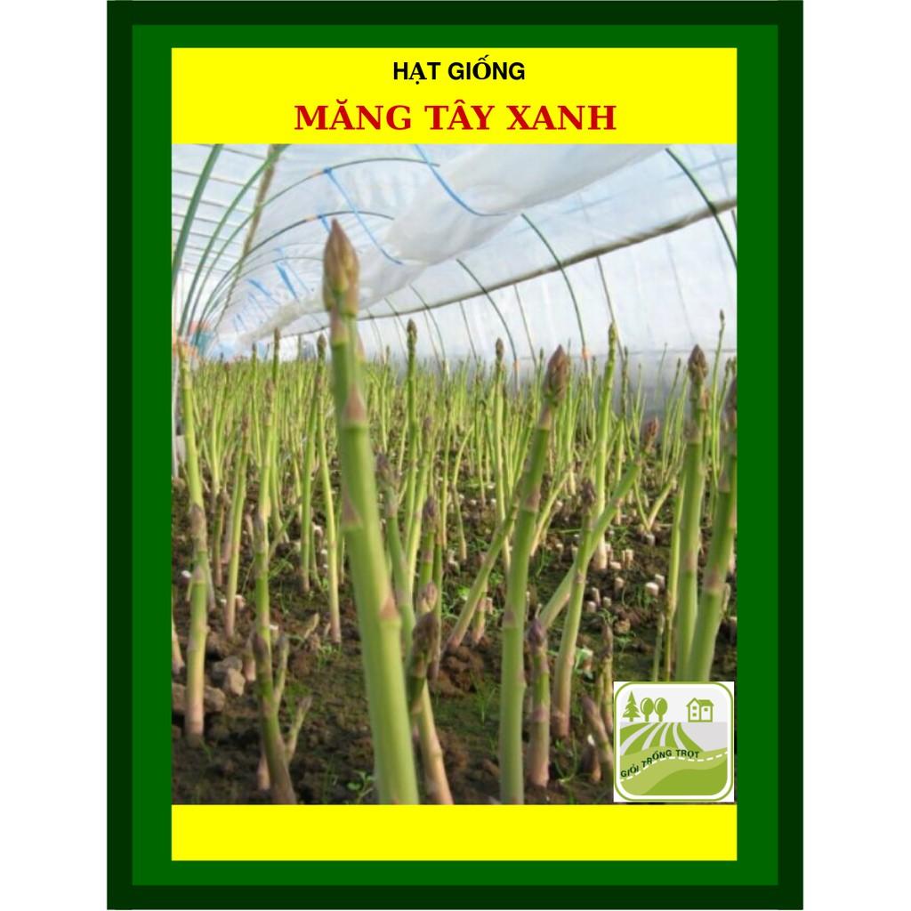 Hạt Giống Măng Tây 0.2 Gram